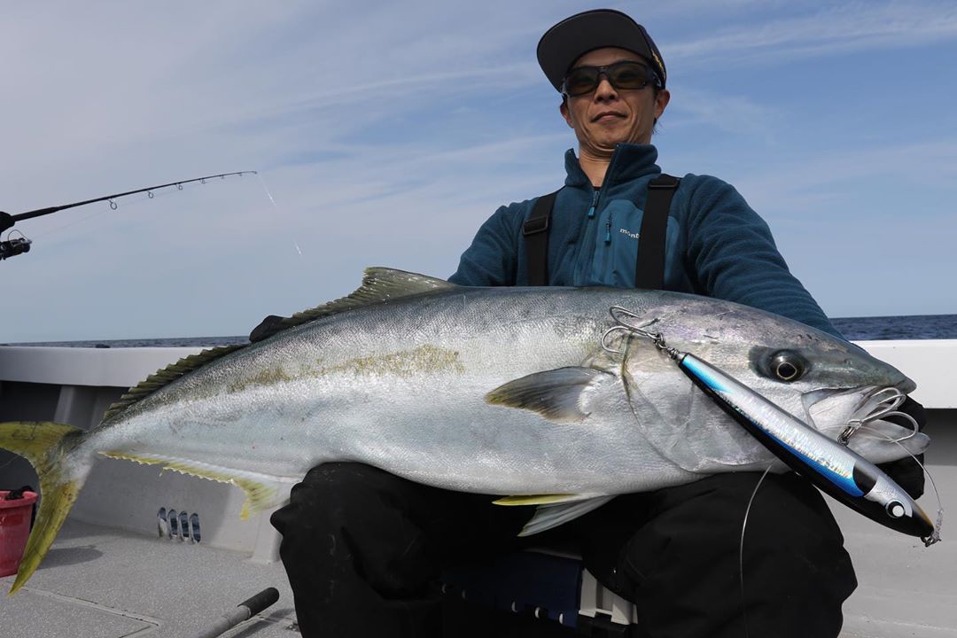 ヒラマサ20kgオーバーを頭に入れ食い。 | 遊漁船サンライズ／新海