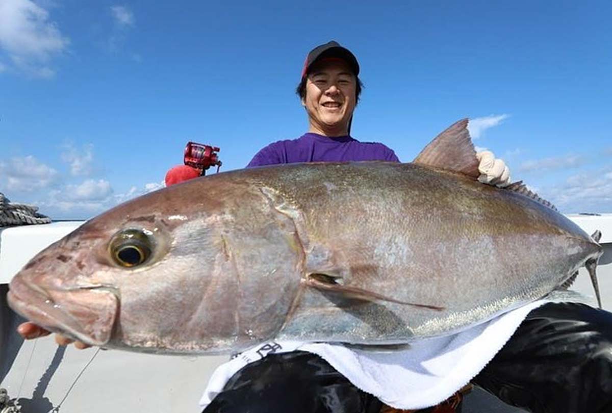 カンパチ27キロ頭に多種多様の魚 遊漁船サンライズ 新海 玄界灘の釣り
